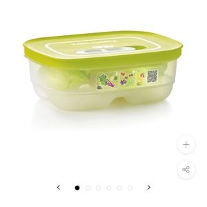 Tupperware Fridgesmart Small New